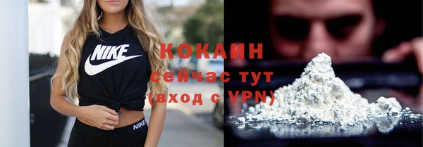 гидропоника Богданович