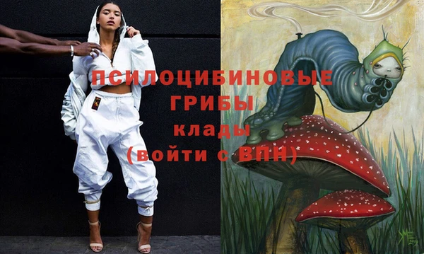мдпв Бородино