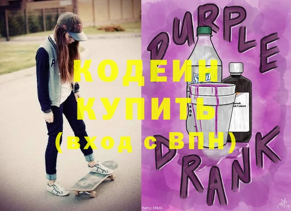 мдпв Бородино