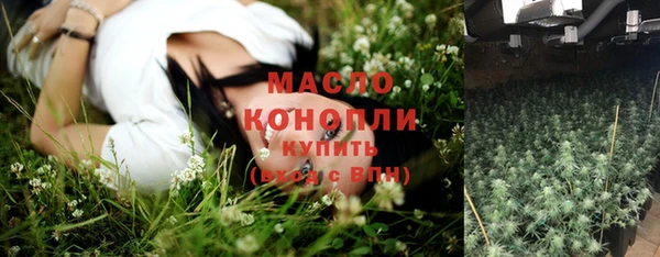 мдпв Бородино