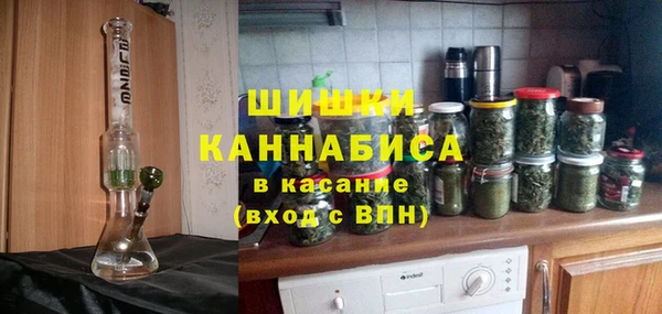 дживик Богородицк