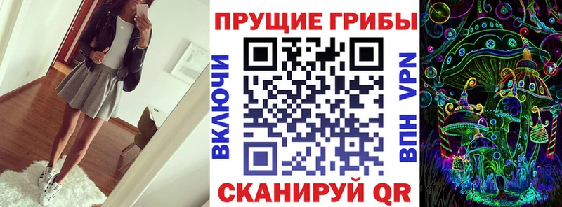 Псилоцибиновые грибы Cubensis Городище