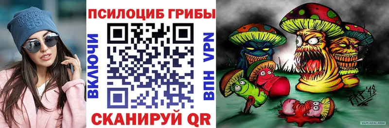 Галлюциногенные грибы Psilocybe  Городище 