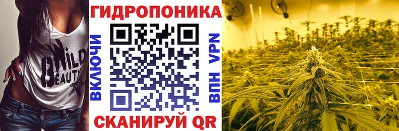 Бошки Шишки VHQ Городище
